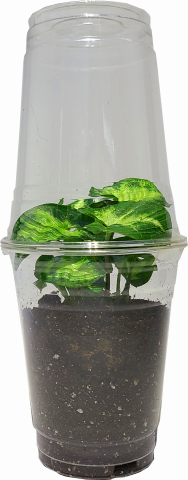 수정됨_KakaoTalk_20201210_163144405.png