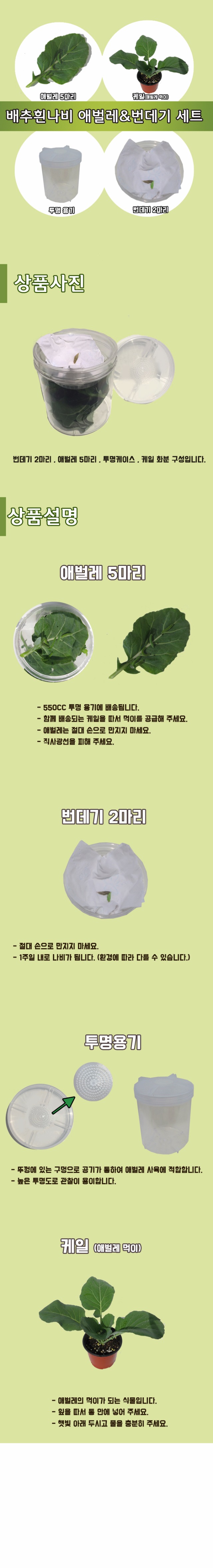 포맷변환_애벌레번데기세트ㅇㅇㅇㅇ.jpg