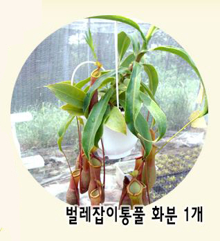 포맷변환_zz.jpg