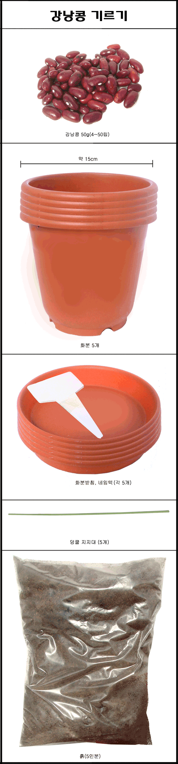 강낭콩키트정렬600.png