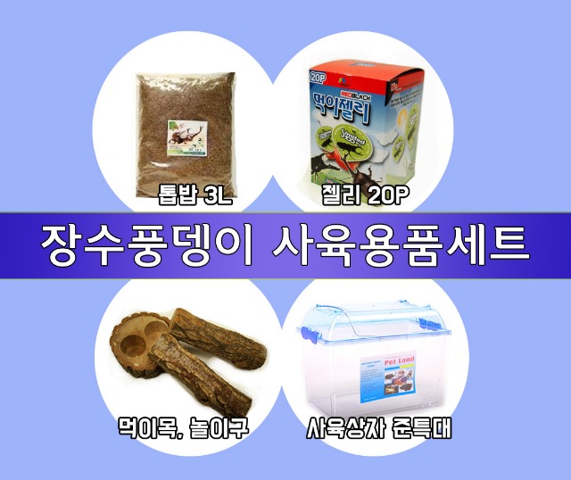 장수풍뎅이 용품세트.jpg
