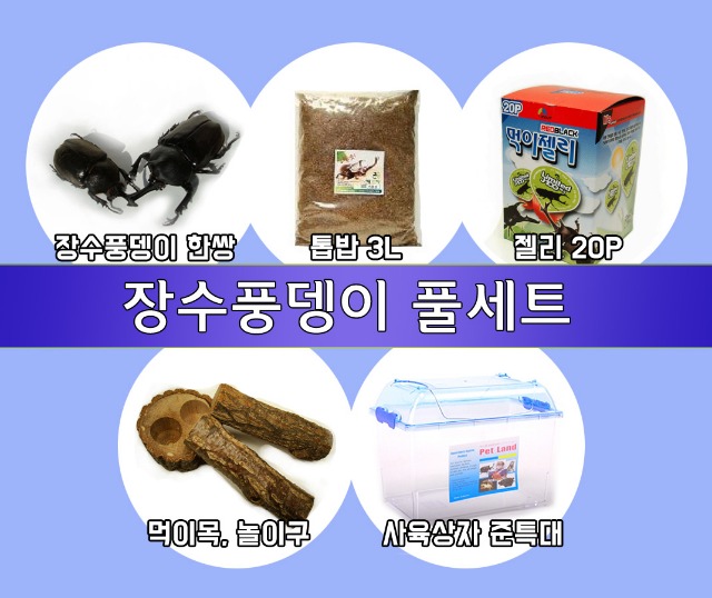 장수풍뎅이 풀세트.jpg