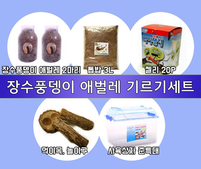 장수풍뎅이 애벌레 기르기세트.jpg