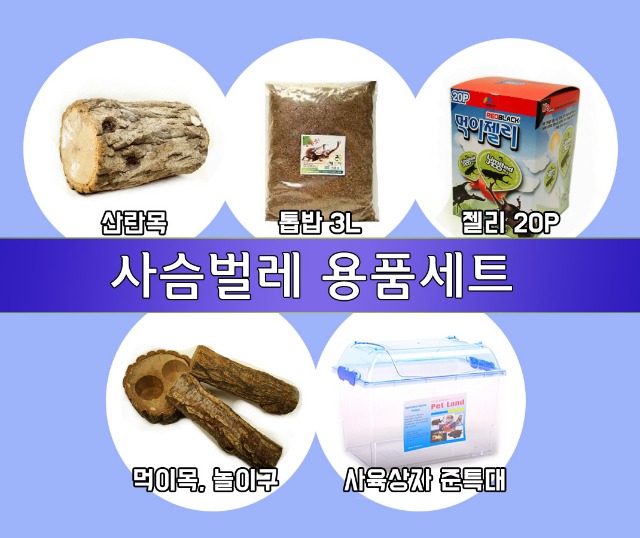 사슴벌레 용품세트2.jpg