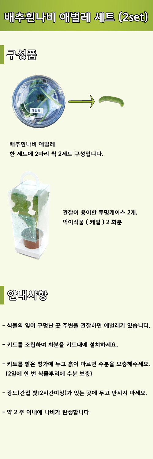배추흰나비 애벌레세트.jpg