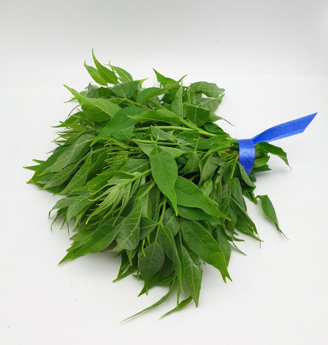 20190517_104314.jpg