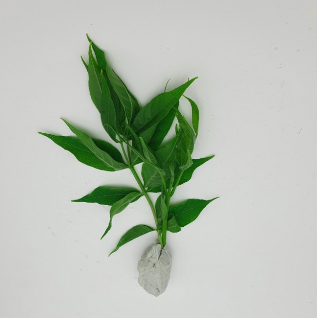 20190517_104335.jpg