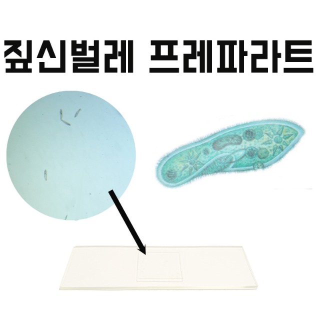 짚신 프레파라트 _ 메인이미지.jpg