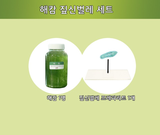 포맷변환_해캄짚신완성.jpg