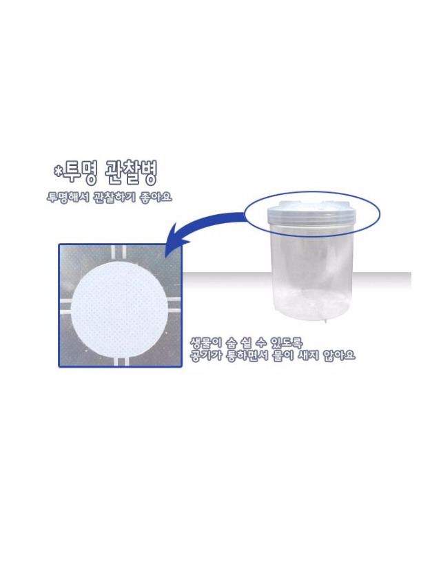 소금1.jpg