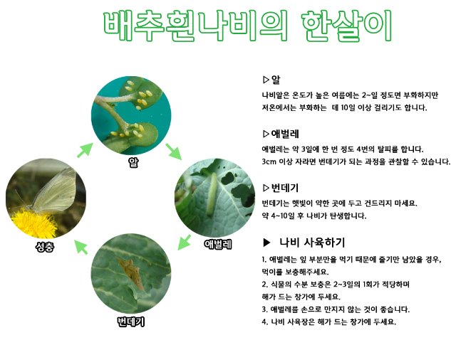한.jpg