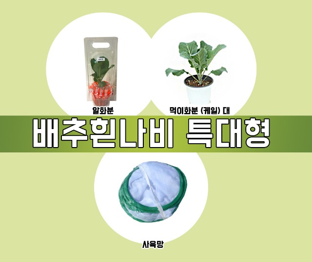 특대형.jpg