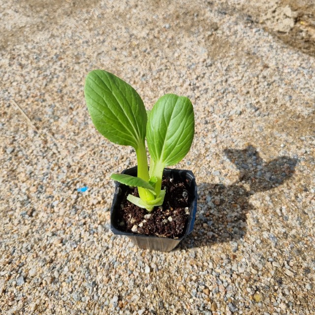 KakaoTalk_20230831_151709419.jpg